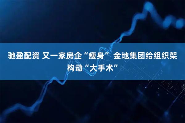驰盈配资 又一家房企“瘦身” 金地集团给组织架构动“大手术”