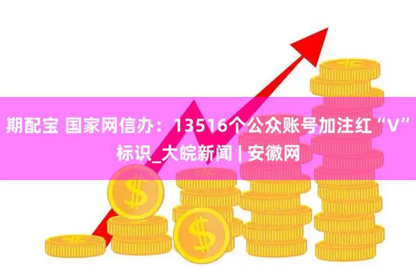 期配宝 国家网信办：13516个公众账号加注红“V”标识_大皖新闻 | 安徽网