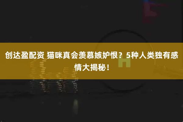 创达盈配资 猫咪真会羡慕嫉妒恨？5种人类独有感情大揭秘！
