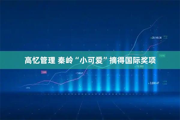 高忆管理 秦岭“小可爱”摘得国际奖项