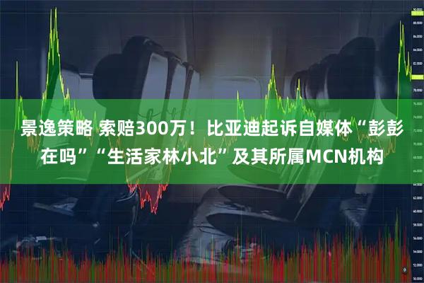 景逸策略 索赔300万！比亚迪起诉自媒体“彭彭在吗”“生活家林小北”及其所属MCN机构